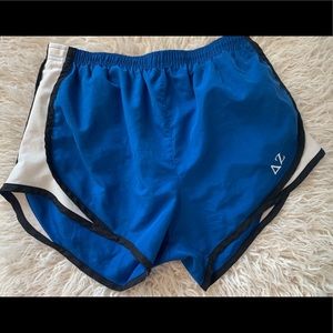 Delta Zeta Running Shorts